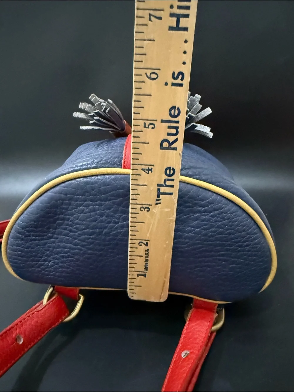 Rare Vintage DOONEY & BOURKE Teton AWL Lipstick Red Navy Yellow Leather Backpack